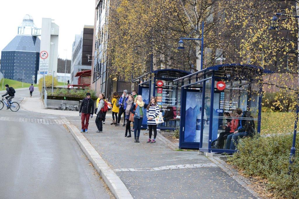 Figur 5. Holdeplass ved Universitetet i Tromsø. Foto Statens vegvesen / Knut Opeide. Langnes Dagens bussterminal i Giæverbukta har hatt en betydelig økning i antall påstigende.