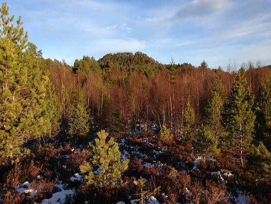 Etter krav fra Kristiansund kommune er også eksisterende vegtrasé, Storbakken, tatt med i planområdet. Planområdet er totalt på ca. 58 daa.