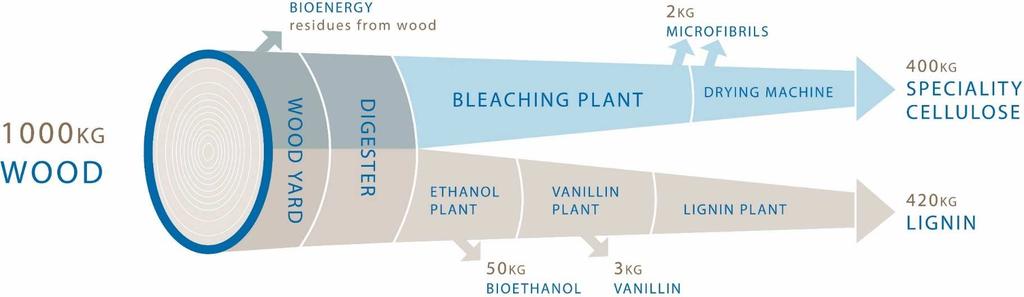 Integrated production system serving diverse markets CELLULOSE FIBRILS End markets 2016 SPECIALTY CELLULOSE Construction materials Filters Inks and coatings Casings Food/Pharma/Personal care Textiles