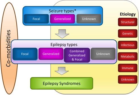 Ny klassifikasjon av epilepsi ILAE classification of the epilepsies: Position paper of the ILAE Commission for Classification and Terminology Enkelte anfallstyper slik som kloniske anfall eller