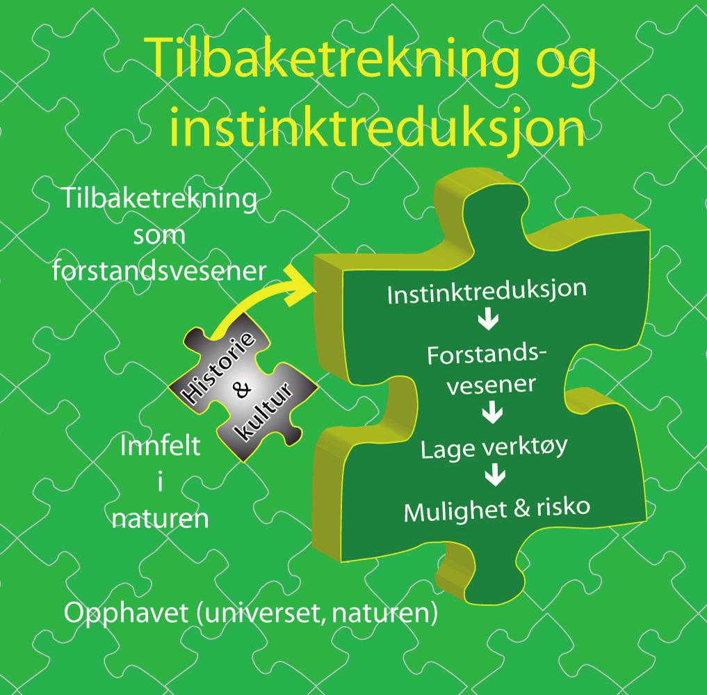 3.2.1 Figur 2 - Innfelt i naturen, men tilbaketrukket Figur 3 - Løgstrups modell for historie og ved vår forstand kultur Puslespillet, og historie og kultur som en av brikkene i puslespillet, er min