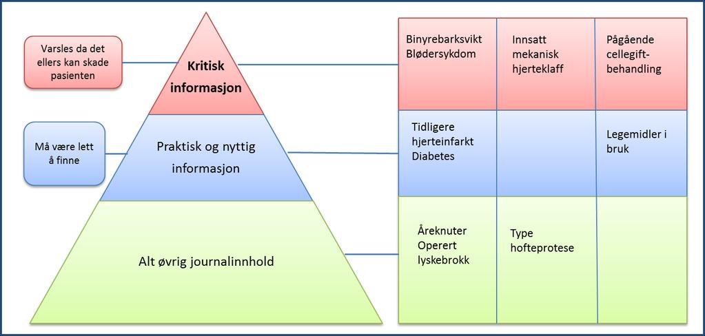 1 Innledning - bakgrunn og prosess Med kritisk informasjon menes informasjon som i en behandlingssituasjon kan medføre at planlagte tiltak endres, og kanskje redder pasientens liv eller forhindrer