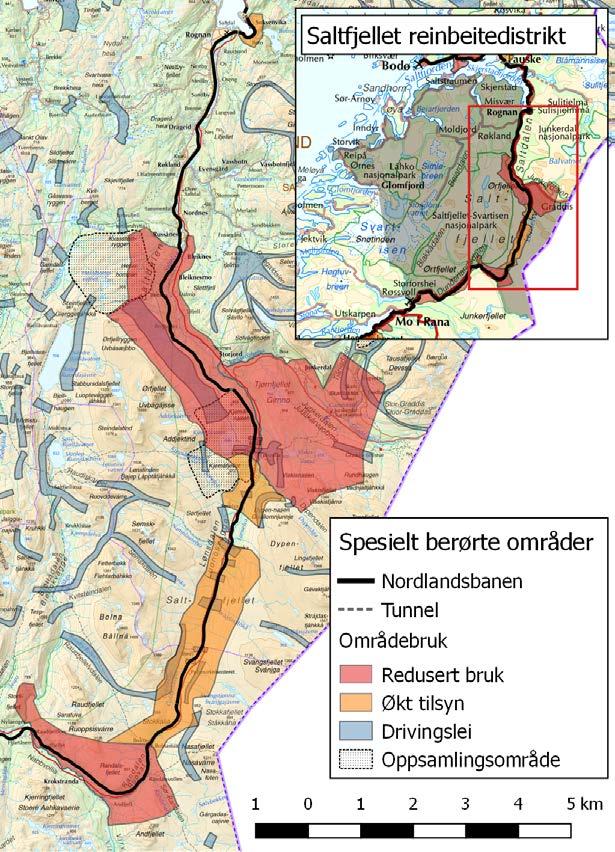 9.1.3 Saltfjellet reinbeitedistrikt Saltfjellet reinbeitedistrikt er i utgangspunktet helårsbeite, men i praksis forflytter reinen seg i et visst flyttemønster mellom sommer og vinter.