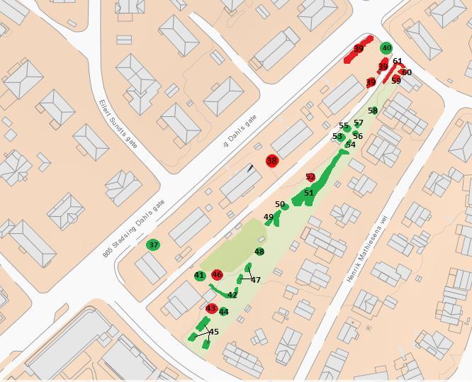 3.3.2, Situasjonsplan, Stadsing. Dahls gt 31-39 ved registrering nov.2016. Alle trærne er nummerert i oversiktsbildet over området. Vedlagt skjema, pkt 4.1 beskriver anbefalte tiltak for hvert tre. 4.0 Trepleietiltak 4.