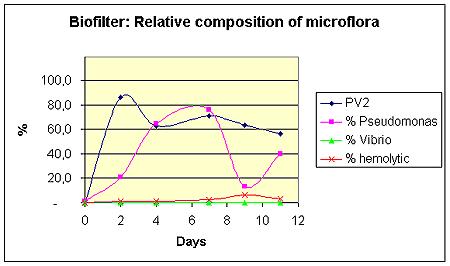 Figur 7: Bakterieinnhold (M65) i vann fra skimmer og biofilter. Figur 8: Sammensetning av bakterieflora i vann fra skimmer. Figur 9: Sammensetning av flora i vann fra biofilteret.