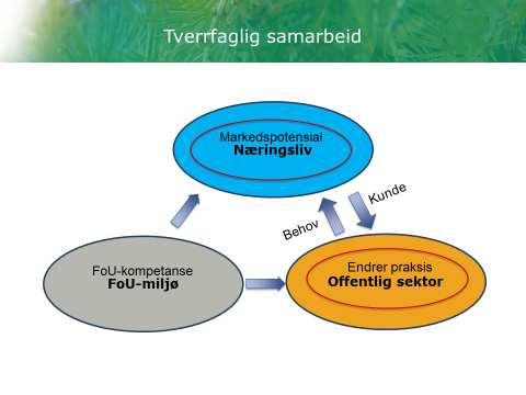 2. Aktiviteter i perioden 2.