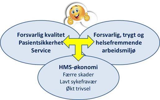 og psykiske skadevirkninger», samt øvrige lovkrav i HMS-lovgivningen: - Arbeidsmiljøloven - Brann- og eksplosjonsvernloven - Lov om tilsyn med elektriske anlegg og elektrisk utstyr -