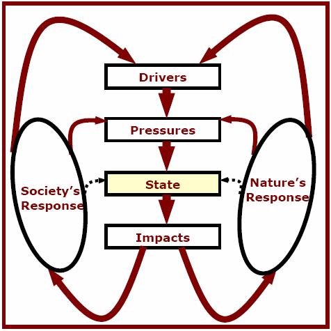 DPSIR-filosofi for bærekraftige løsninger Drivers: actions for economic production to reach short-term term social goals Pressures: side-effects of the