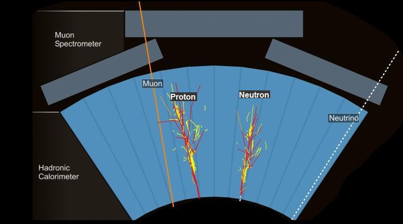 Hvordan virker den? del 3 Det hadronske kalorimeteret og muon-spektrometeret i det hadronske kalorimeteret vil alle partikler som vekse