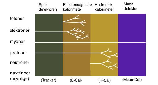 Hvordan fungerer dette i praksis I? jo tyngre?-partikkelen er jo fortere går den over til nye partikler (henfaller)?