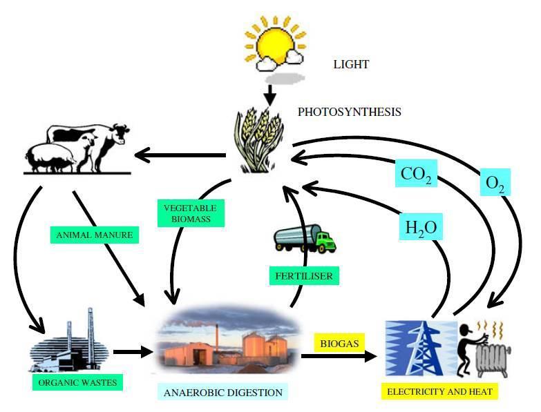 FIXNUT: Fixation of nutrient elements in digestate Mål: høykvalitets jordforbedringsmiddel og gjødsel fra biorest Utfordring: Resirkulering av næringsrik biorest fra