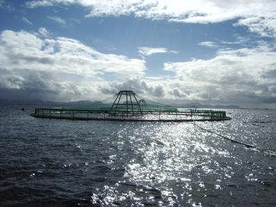 Aquaculture