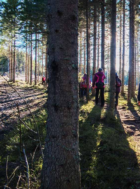 NITTEDAL TURLAG Bli med i turlaget vårt!