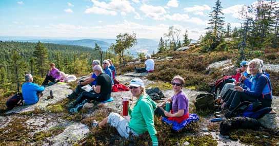 Turkameratene Nittedal Turlag (TNT) er et lokalt turlag under DNT Oslo og Omegn, stiftet i oktober 2013. I 2016 økte vi medlemstallet vårt til 1684. Epost: turkameratene.nittedal@dntoslo.