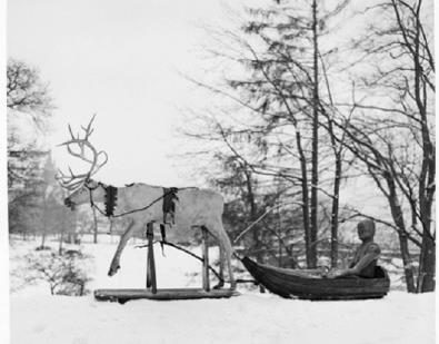 corner» 349. Hvorvidt deler av Laplands ekvipasje var utstilt i Museum Wormianum har det ikke vært mulig å finne nærmere belegg for før denne avhandlingen skulle ferdigstilles.