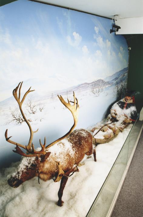 En pussighet med Laplands ekvipasje på De samiske samlinger er at mannekengen tidligere har vært utstilt på Postmuseet i Oslo, nå en del av Maihaugen på Lillehammer, se figur 52 377.