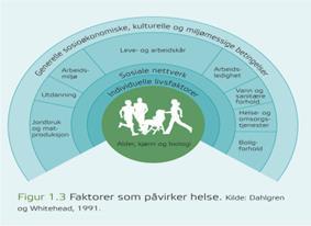 Tema for presentasjonen 01.03.2017 35 Årsaker til hvorfor samfunnsforhold påvirker folkehelse og sosial ulikhet i helse 3 årsaksforklaringer: 1.