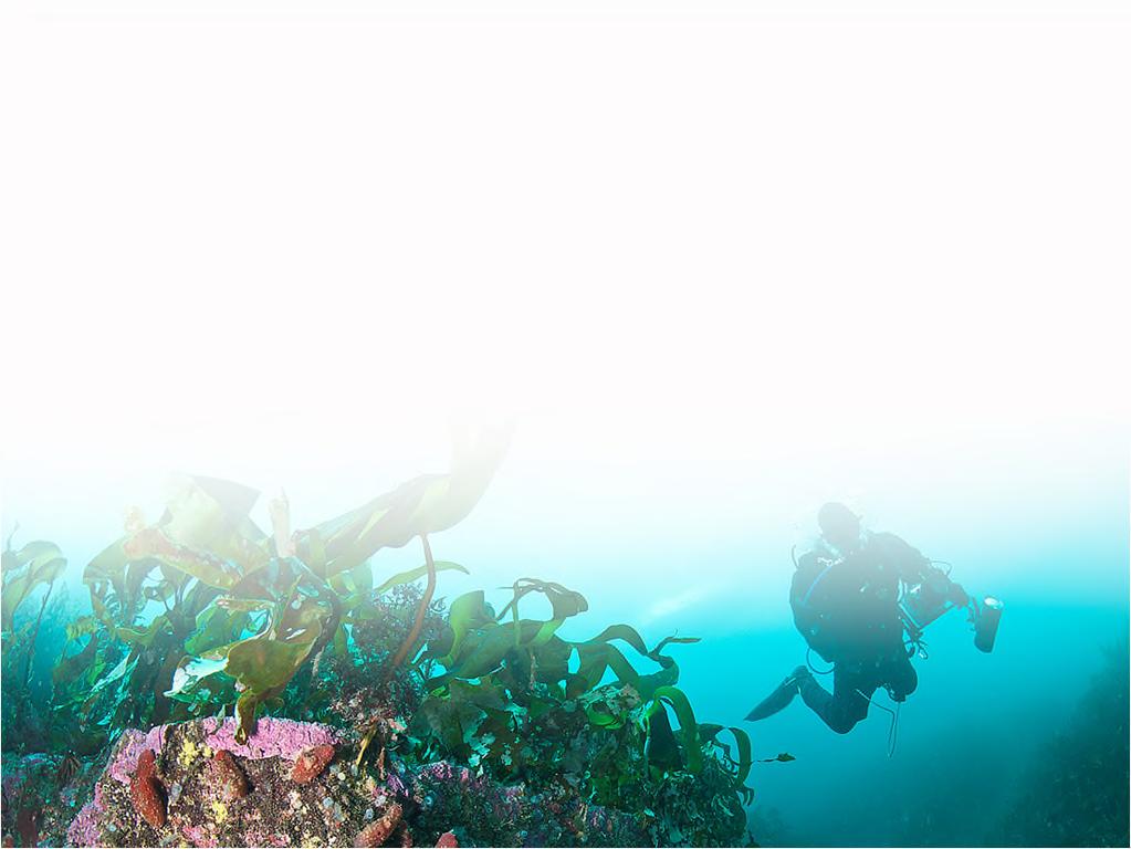 MARINFORSK Marine ressurser og miljø Skal øke kunnskapen om marine økosystemer og konsekvensene av menneskelige påvirkninger