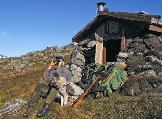 Dei nye retningslinene, for prøveordninga om bruk av helikopter til ettersanking av sau, og bruk av helikopter og andre motorkøyretøy for henting av sjuke, skadde og daude husdyr, vil heller ikkje