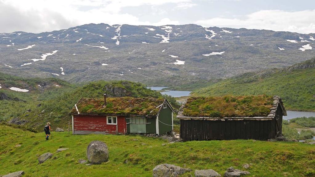 Krokvasstølen. 3.4 Dyraheio landskapsvernområde Dyraheio landskapsvernområde i Suldal kommune vart oppretta i 1997 og har, etter ei mindre utviding i 2010, eit areal på 304 km 2.