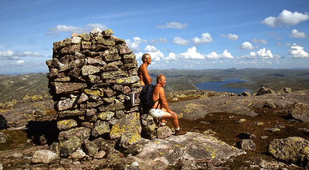 Urdalsnuten. Setesdal Vesthei Ryfylkeheiane landskapsvernområde kan karakteriserast som småkupert heielandskap.