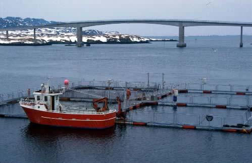 De 50 nye matfiskkonsesjonene Forskrift på høring 1.