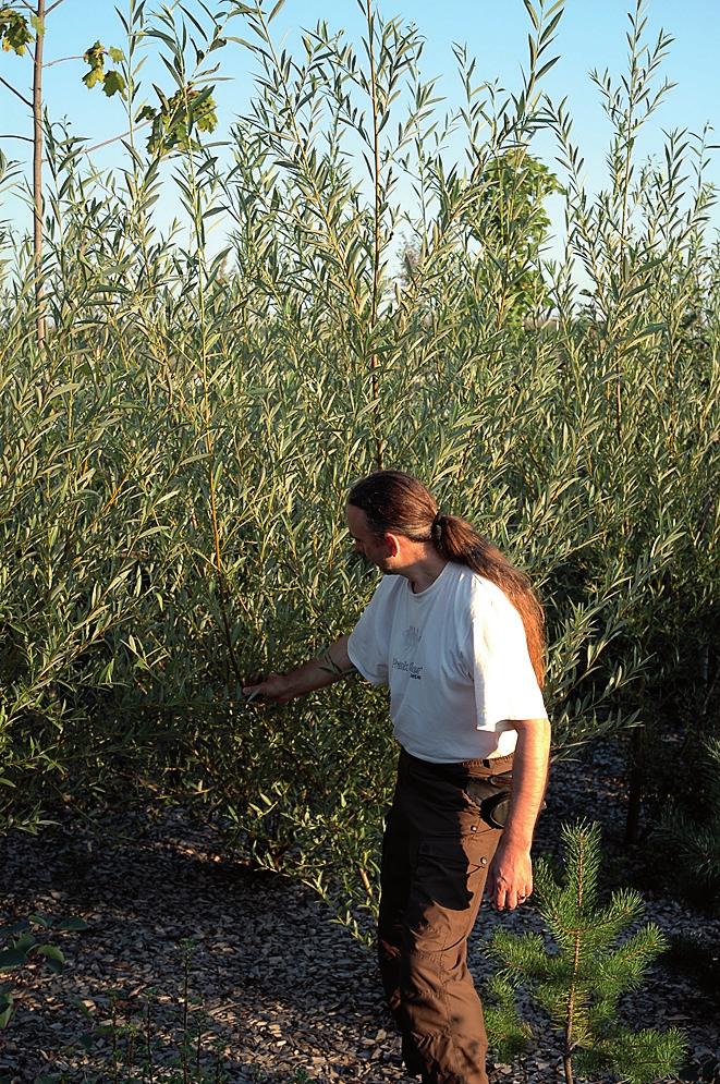 Flere av disse insektene er rødlistete under kategorien direkte truet og spesielt sjeldne også i verdenssammenheng!