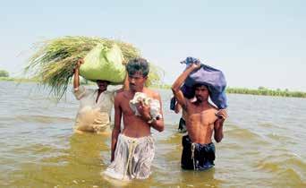 KLIMARETTFERDIGHET KLIMAFAGLIG GRUNNLAG Storflommen i 2010 rammet syv millioner mennesker i Sindh-provinsen i Pakistan. I 2011 ble ni millioner mennesker i samme provins rammet av flom igjen.