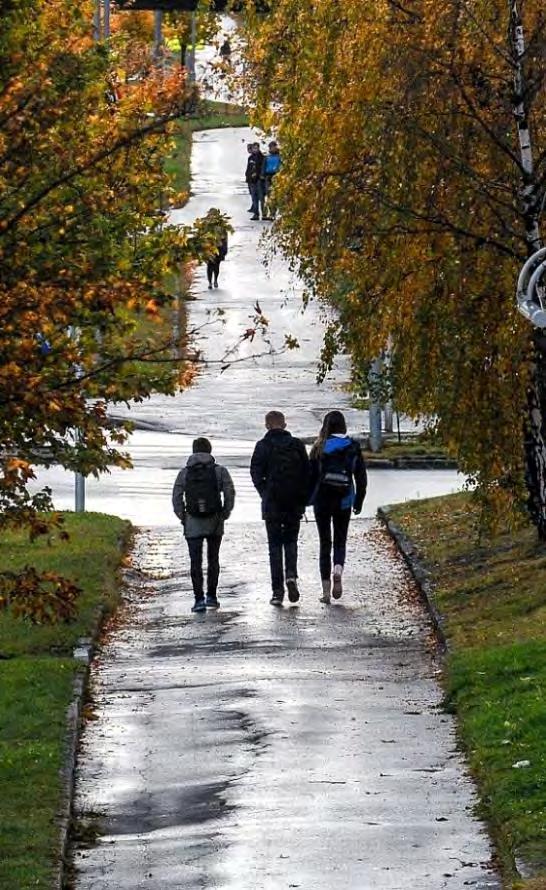 Styrking av Kollektiv