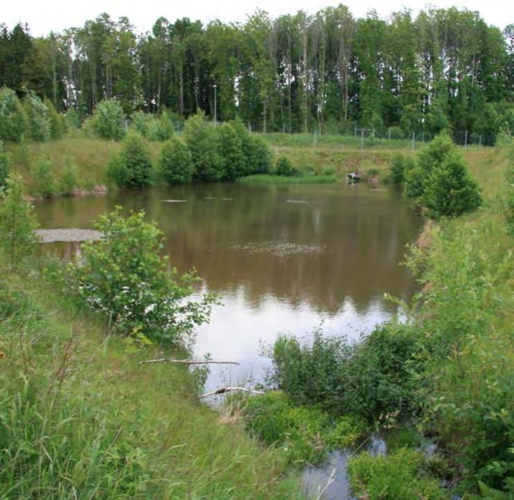 Miljø Luftkvalitet og støy Naturmangfold