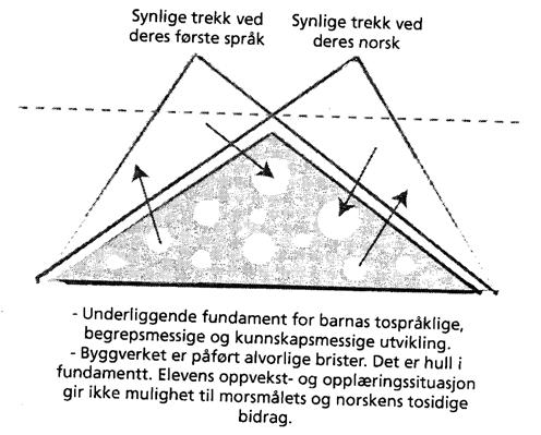 2.1.4 Sveitserostmetaforen På en annen side finner man sveitserostmetaforen, som viser fundamentet med alvorlige brister på byggverket. Det er hull i språkfundamentet i form av språklige ferdigheter.