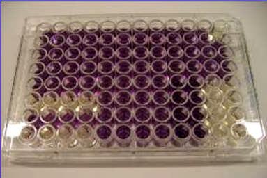 Bioactivity screening