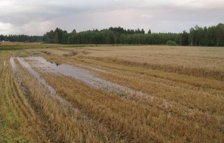 2015) Østlandet Sørlandet Sør- Vestlandet Nord- Østerdal Trøndelag Hålogaland