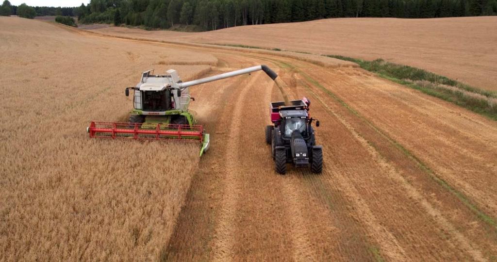 Korn, frø og oljevekster utgjør 79 prosent av jordbruksarealet i Østfold. Grovfôrproduksjonen er den nest største produksjonen i Østfold både i antall foretak og i areal.