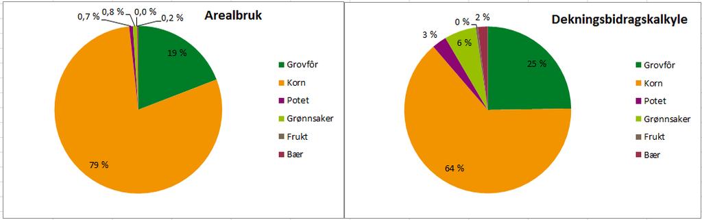 En kornprodusent trenger mye større arealer enn en grønnsaksprodusent for å nå det samme inntektspotensialet.