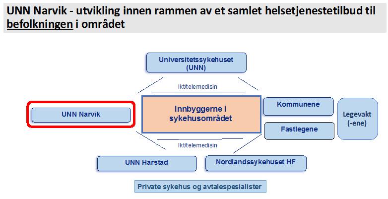 Sammen sikrer de spesialisthelsetjenestene som befolkningen har behov for. Det må være avklart hvilke oppgaver som skal løses på hvert nivå og når pasienten skal henvises til et mer spesialisert nivå.