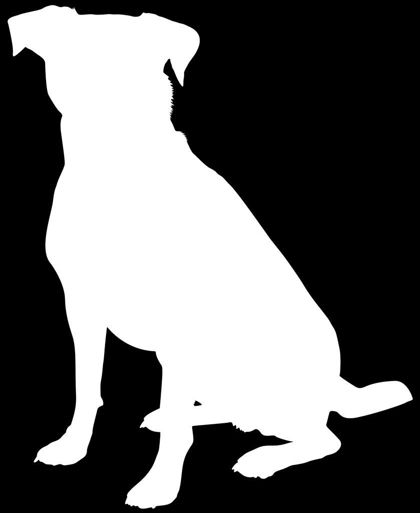 Type: StedTilTaVarePaaBeste<Hund> void settinn(hund ny) Person hentbest() return beste; class Katt { class Hund { class