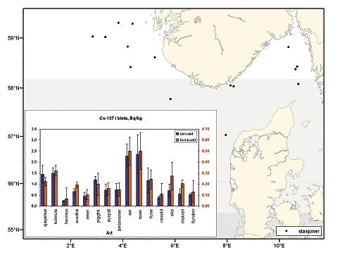 Til sammenligning har prøver av torsk tatt i Barentshavet (31 individer) et innhold på henholdsvis 1,3 Bq/kg tørrvekt og,2 Bq/kg våtvekt.