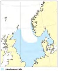 torstensen@imr.no Fisket I Nordsjøen foregår det danske fisket hovedsakelig med industritrålere, mens det norske fisket er et direkte fiske som stort sett utøves av ringnotfartøy.