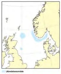 KapiTtel 3 økosystem nordsjøen/skagerrak HAvets ressurser og miljø 26 149 3.4.6 Reke Rekebestanden i Skagerrak/Norskerenna har vært stabil og i god forfatning siden midten av 199- tallet.