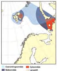 4 havets ressurser og miljø 26 KAPITtel 1 økosystem b a r e n t s h av e T 1.3.2 Polartorsk Bestanden av polartorsk er truleg like stor som i perioden 2 til 22.