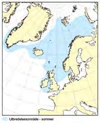 KapiTtel 1 økosystem barentshavet HAvets ressurser og miljø 26 41 1.3.