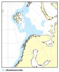 Spesielt i polarfrontområdet kan reketettheten være stor. Det er ikke påvist migrasjon av voksen reke over store havområder.