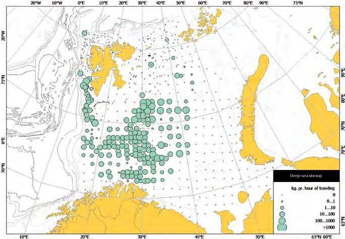KapiTtel 1 økosystem barentshavet HAvets ressurser og miljø 26 65 er som bruker dobbeltrål. Standardisert norsk CPUE indikerer også en reduksjon i rekebestanden.