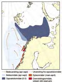 KapiTtel 2 økosystem norskehavet havets ressurser og miljø 26 91 den fordelte seg over et stort område i mai (Figur 2.3.1.2).