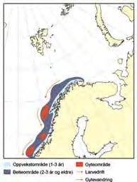 98 havets ressurser og miljø 26 KAPITtel 2 økosystem norskehav e T 2.3.4 Nordøstarktisk sei Seibestanden nord for 62 N er innenfor føre-var-grenser, og totalkvoten for 26 på 193.