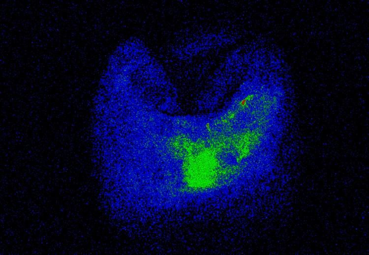 (CTCC) Nanovitenskap og