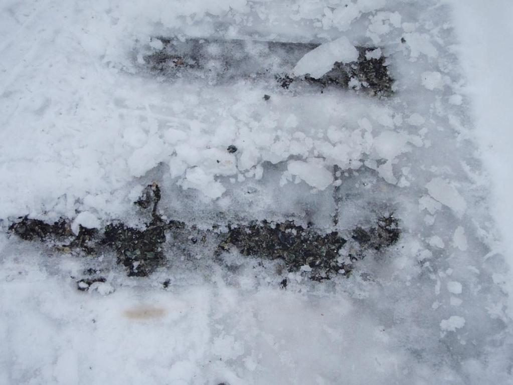 Bilde 16, Seks centimeter snø tilsatt 20g/m 2 CMA Differanser mellom de tørre kjemikaliene Feltforsøket ble utført på Dragvoll i Trondheim. Her ble de tørre kjemikaliene sammenliknet.