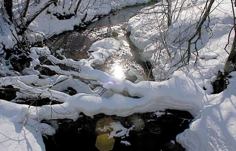 Alnaelva Foto: Synnøve Riise Bøgeberg 10 2.2 Fremdrift 2010 De fleste tiltakene har god fremdrift og bydeler og etater har godt grep på gjennomføring av de som er igangsatt.