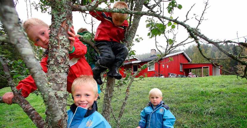 DEL 3 FORDELING AV MIDLER 2011 Siste delen av handlingsprogrammet inneholder tiltakslister for 2011, og gir en oversikt over programgruppens prioritering for å nå målsettingen om bedre miljø og